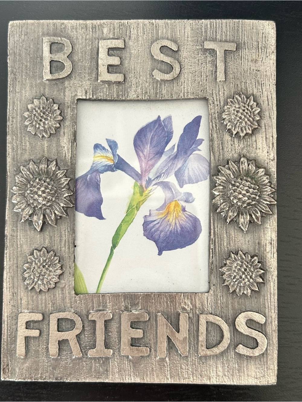 Best Friends Silver Floral Picture Frame - Pewter 4.75” x 3.5”